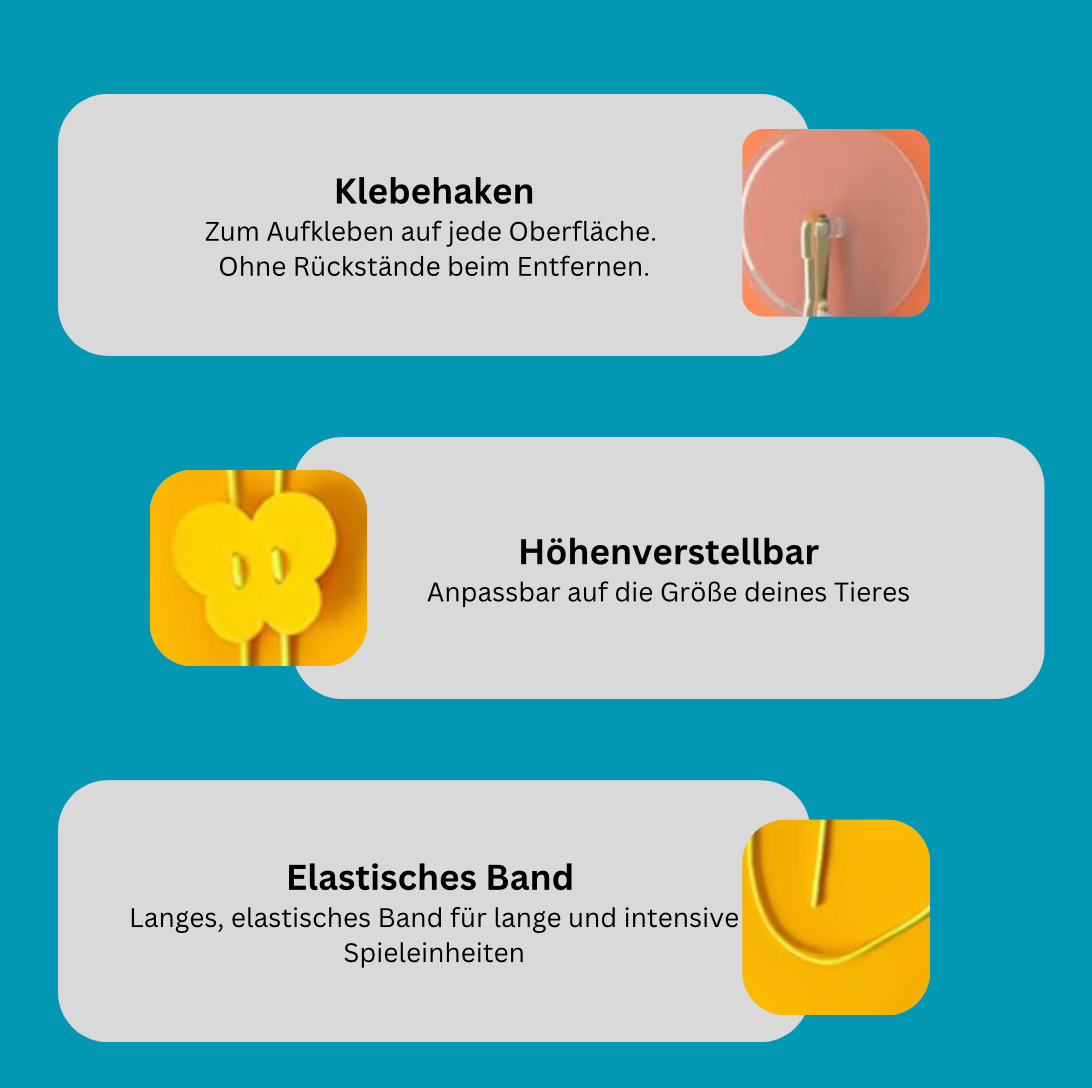 Katzenschwung - Mein Shop