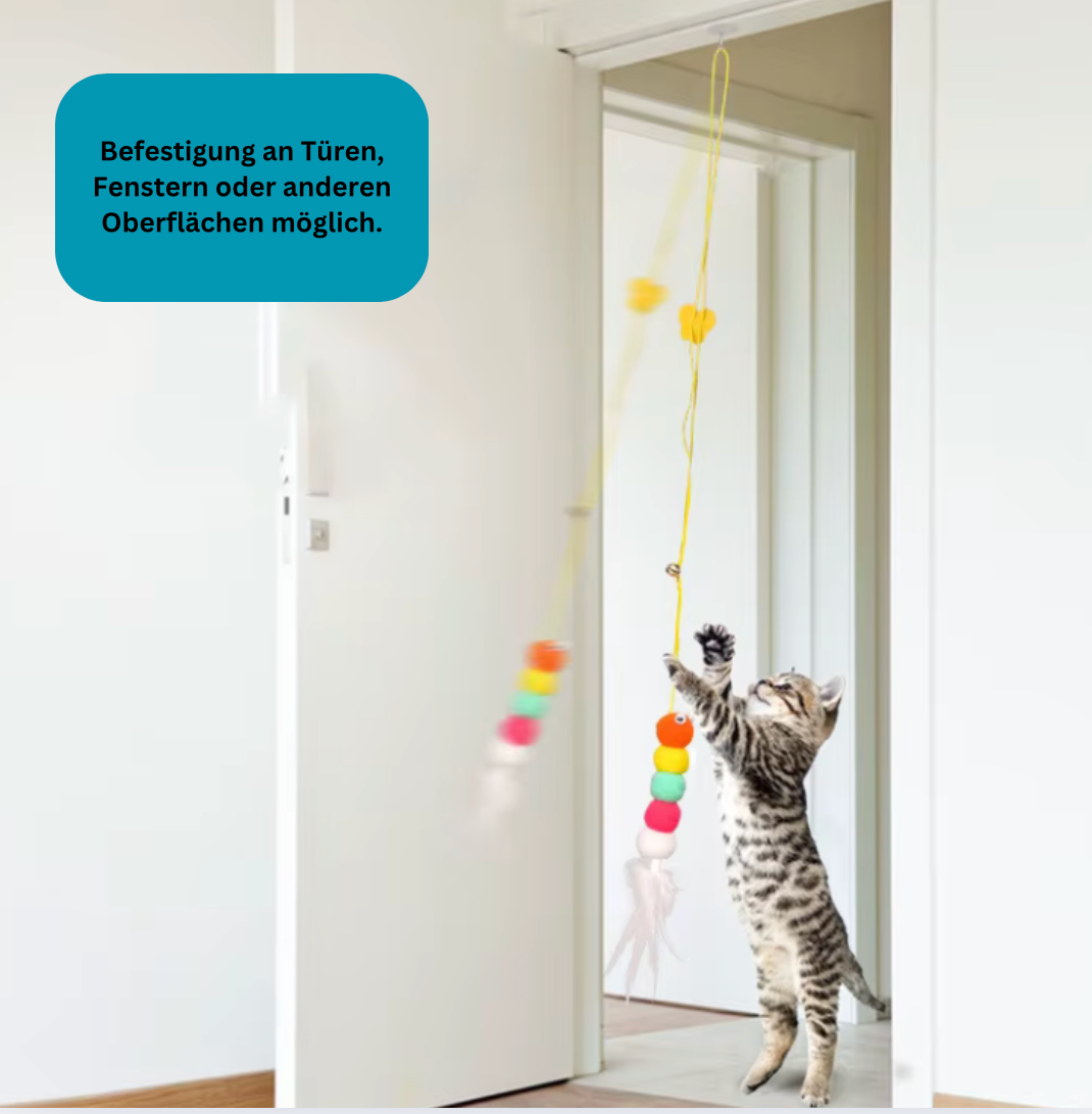 Katzenschwung - Mein Shop