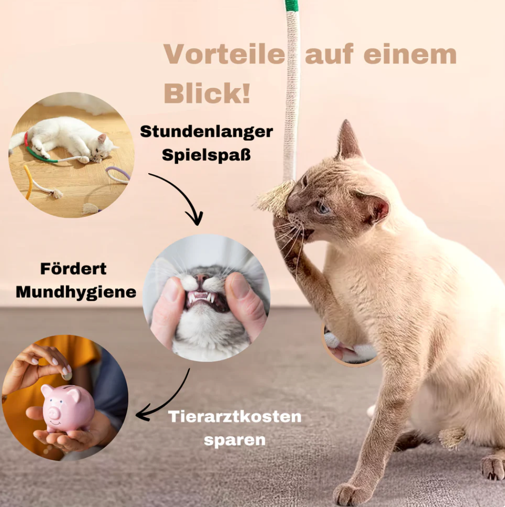 Haustier-Spiele DentalBiss™ - Mein Shop