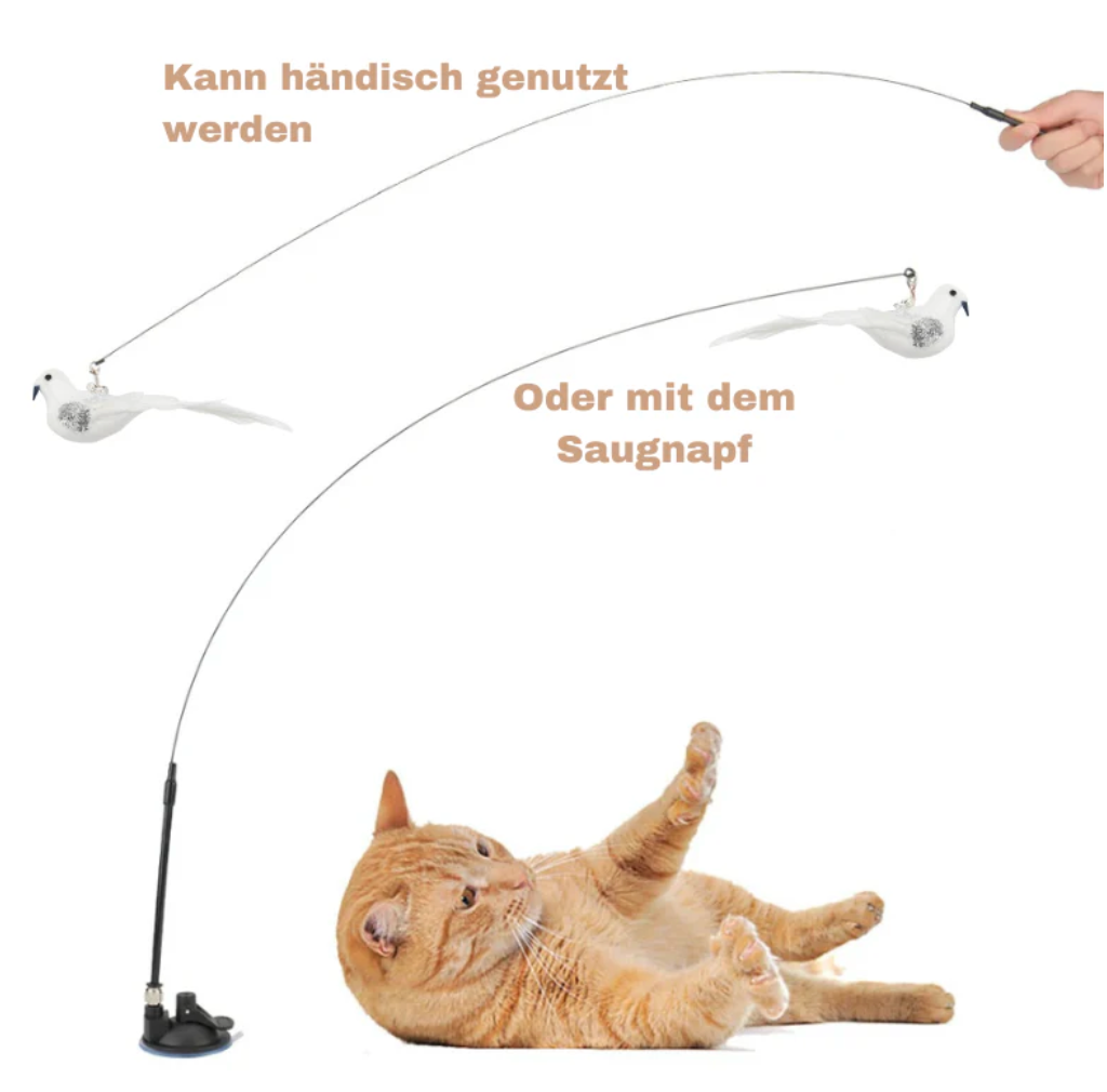 BirdCatch™ - Mein Shop