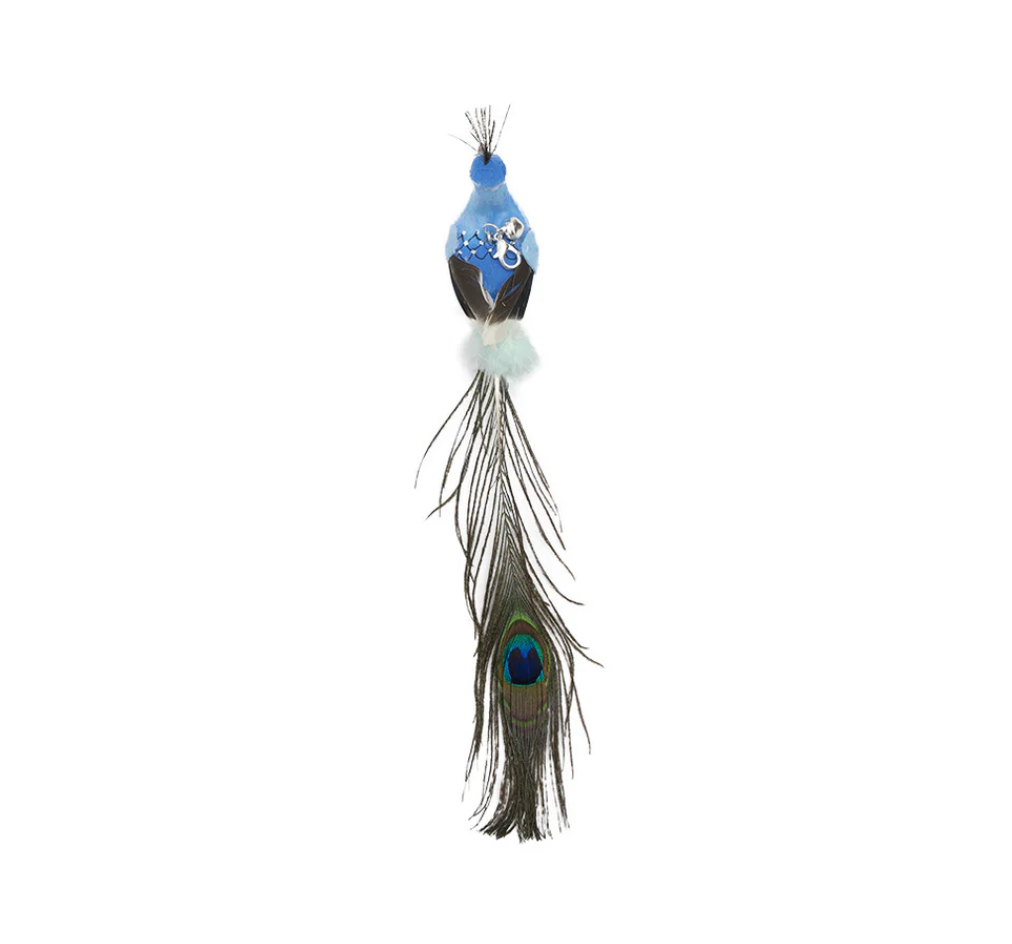 BirdCatch™ - Mein Shop