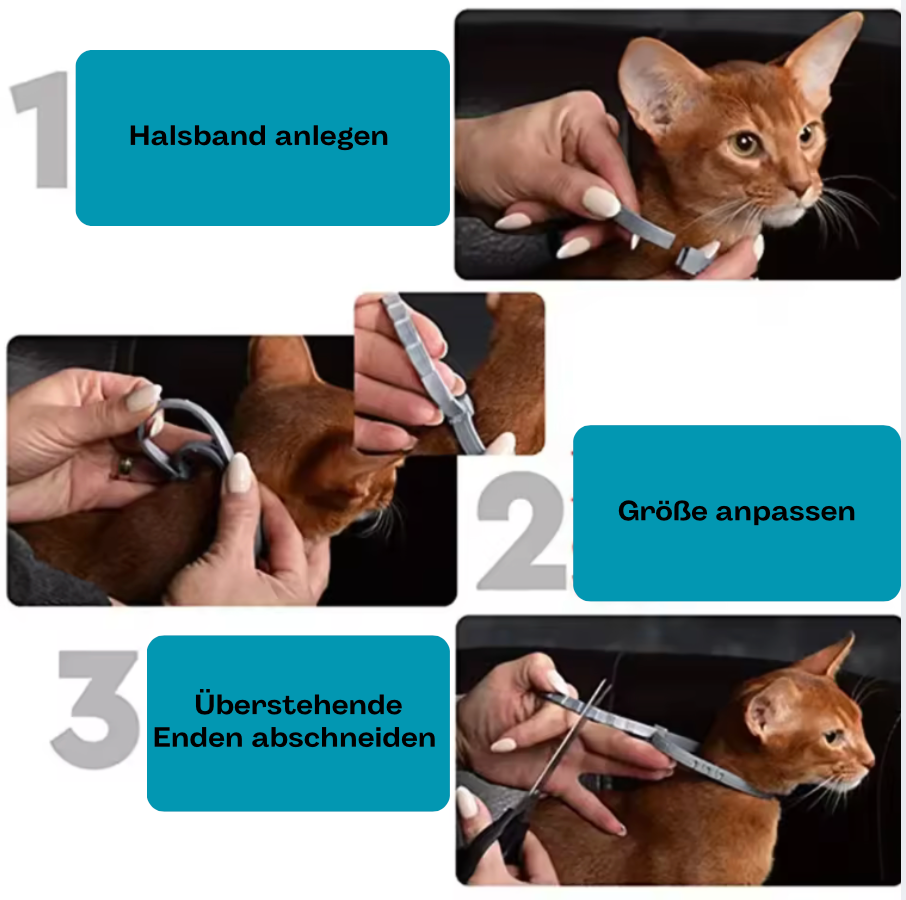 Anti-Zecken Halsband - Mein Shop