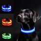 Leuchtendes LED-Hundehalsband