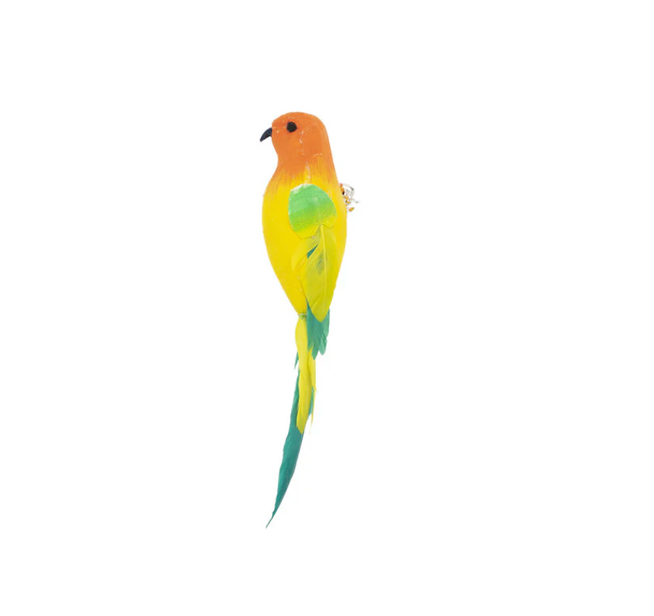 BirdCatch™ - Mein Shop