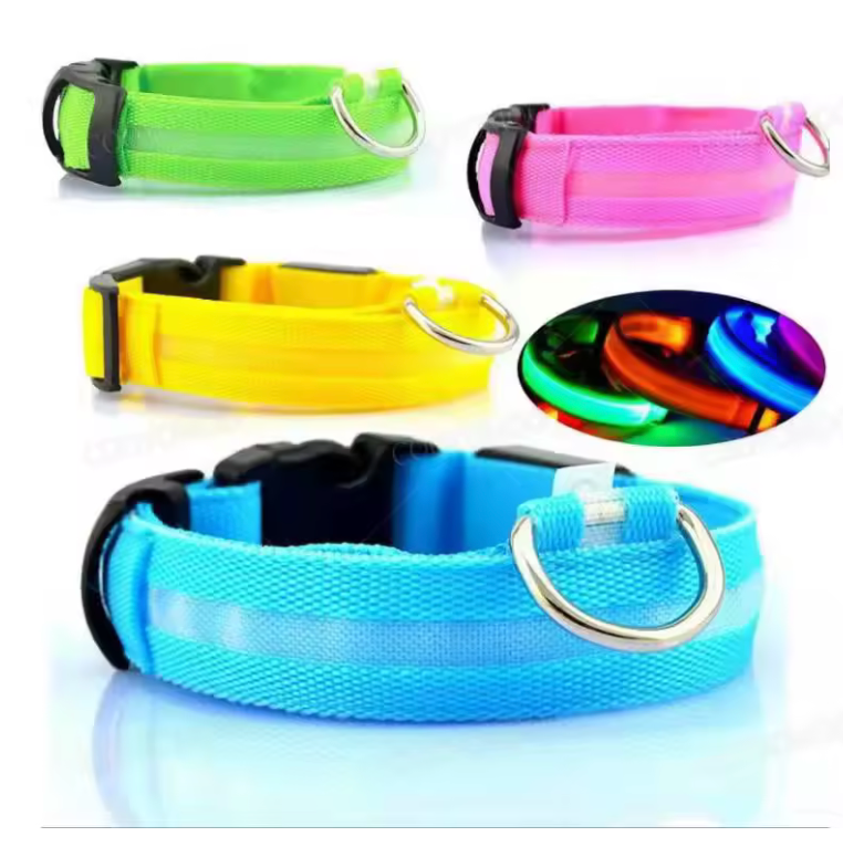 Leuchtendes LED-Hundehalsband