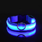 Leuchtendes LED-Hundehalsband