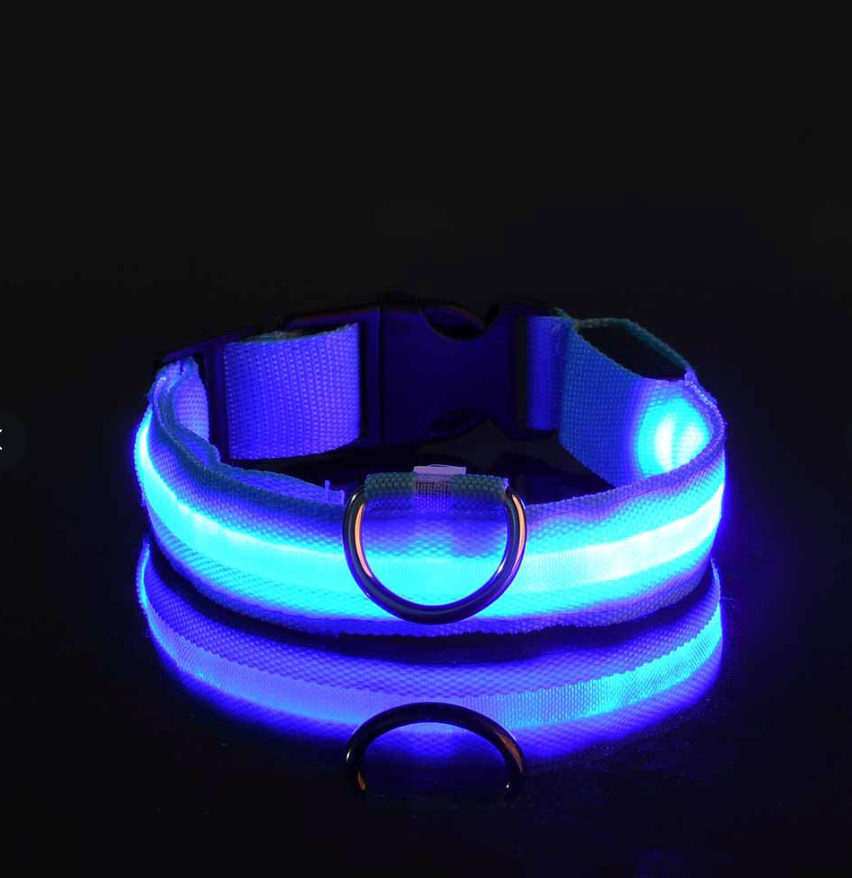 Leuchtendes LED-Hundehalsband