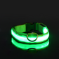 Leuchtendes LED-Hundehalsband
