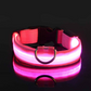 Leuchtendes LED-Hundehalsband