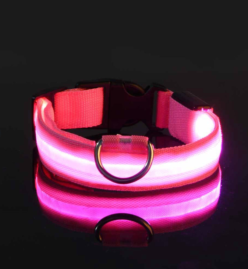 Leuchtendes LED-Hundehalsband