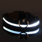 Leuchtendes LED-Hundehalsband