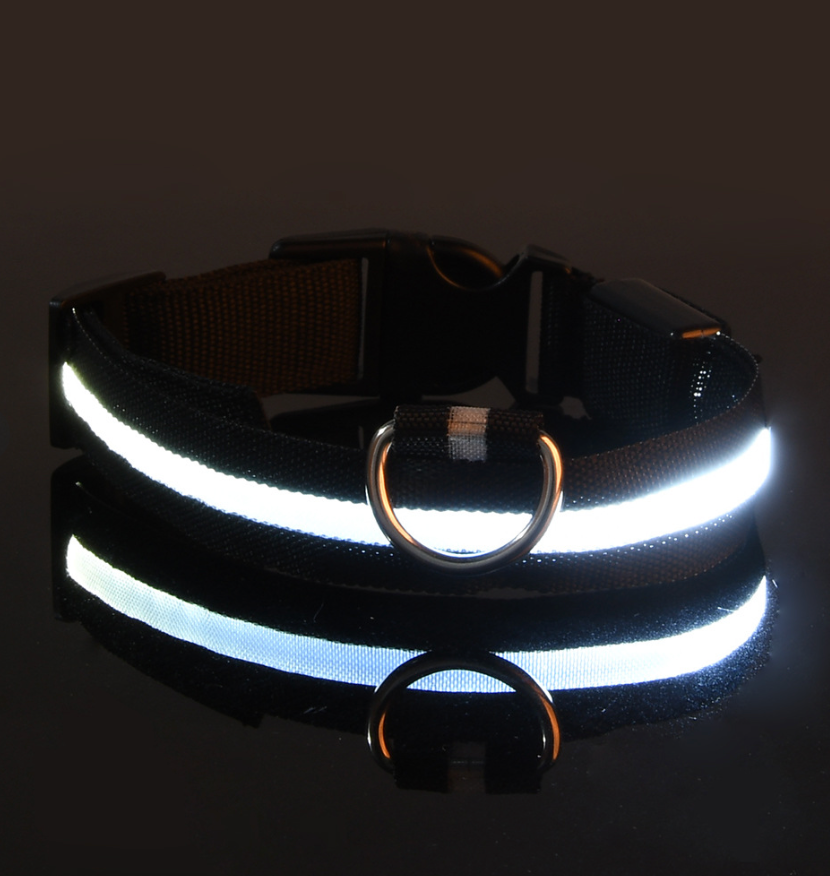 Leuchtendes LED-Hundehalsband