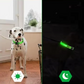 Leuchtendes LED-Hundehalsband